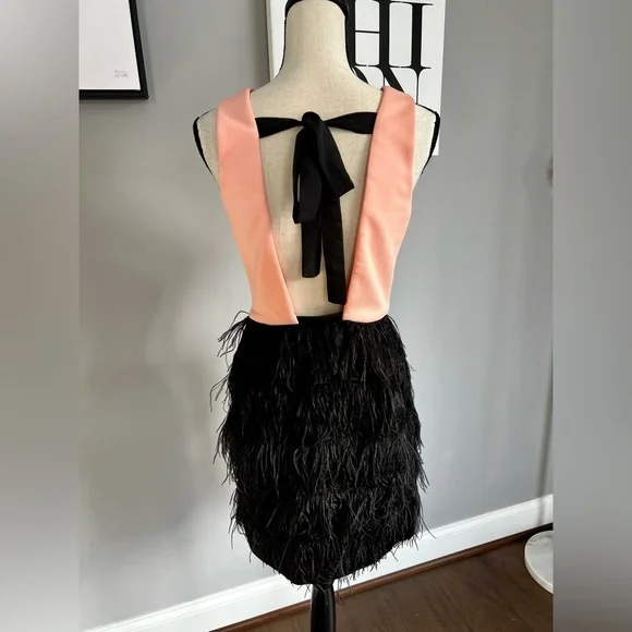 Maia Feathered Dress - Picture 4 of 10